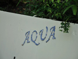 Aqua on Bequia - Yellow Tail
