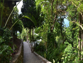 Ravenala House